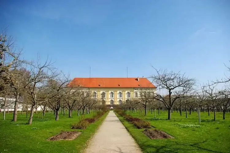 Sex Dachau