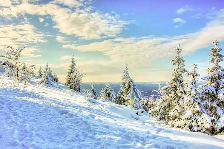 Hobbyhuren Harz